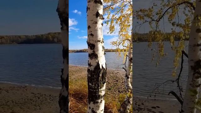 ПАМЯТИ НИКОЛАЯ РУБЦОВА смотреть онлайн