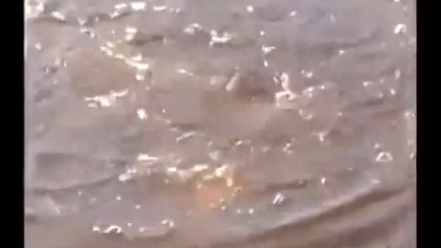 Щука поймала утку. смотреть онлайн