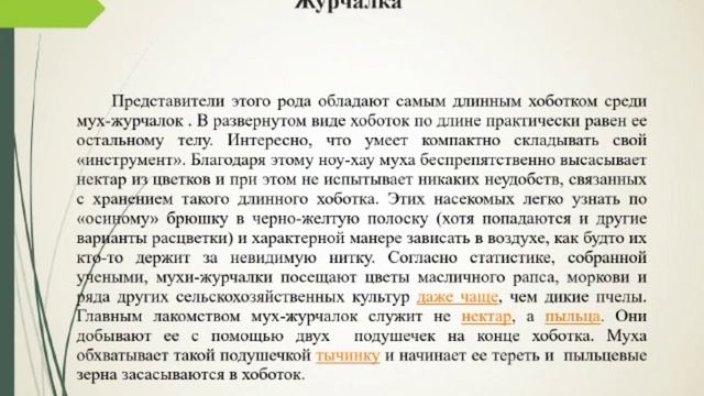 20 04 21 дом для насекомых смотреть онлайн