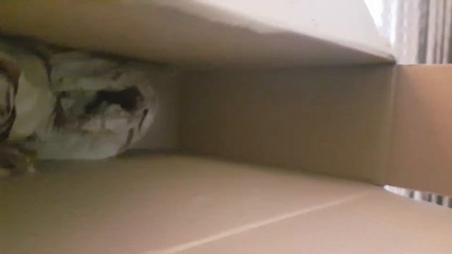 Unboxing guitar Thomann - disaster! смотреть онлайн