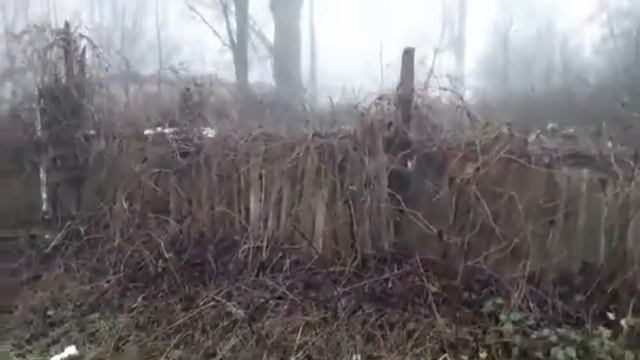 Странное место, дух захватывает когда видишь такое смотреть онлайн