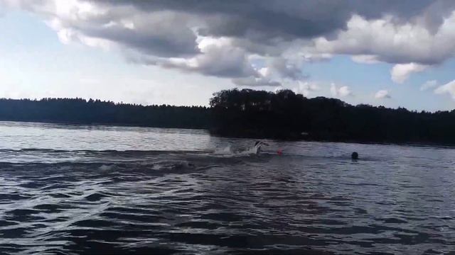 Упражнение "Эстафета" на тренировке в открытой воде смотреть онлайн