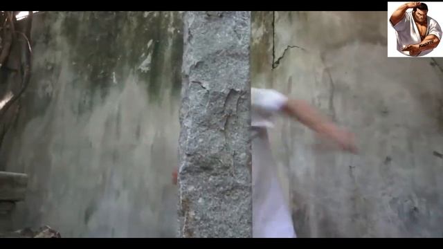 Каратиста удивил мастер Кунг-фу смотреть онлайн