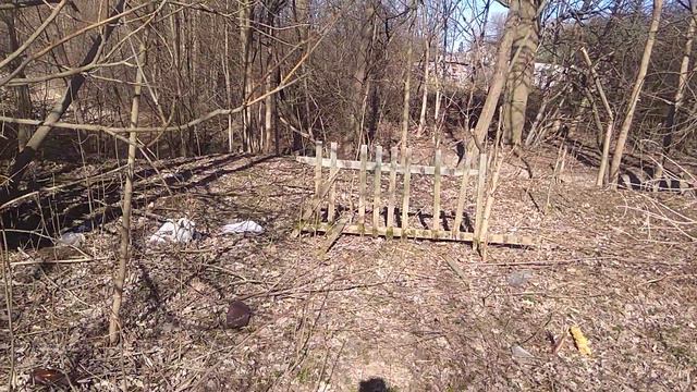Выживание в лесу первые условия выживание сделал шалаш стол смотрите до конца смотреть онлайн