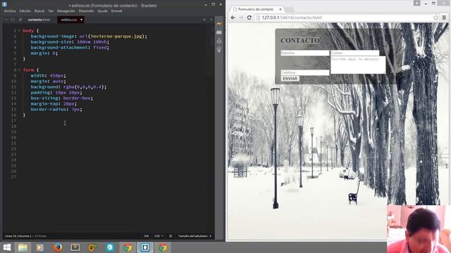 Formulario de contacto responsive con HTML y CSS смотреть онлайн