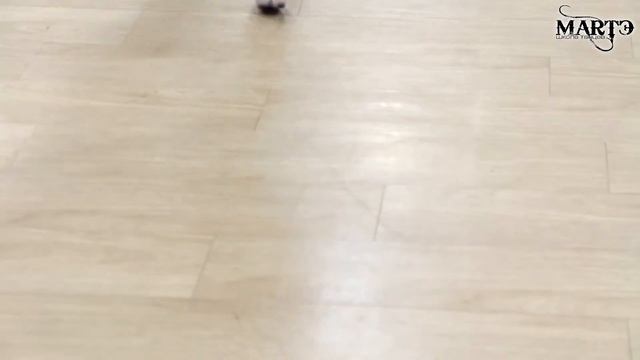 Интенсив pole dance в школе танцев МАРТЭ смотреть онлайн