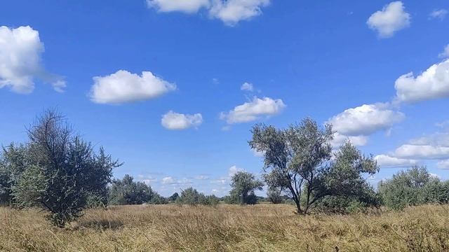 ТОП 5 женских имен с самой сильной энергетикой... смотреть онлайн