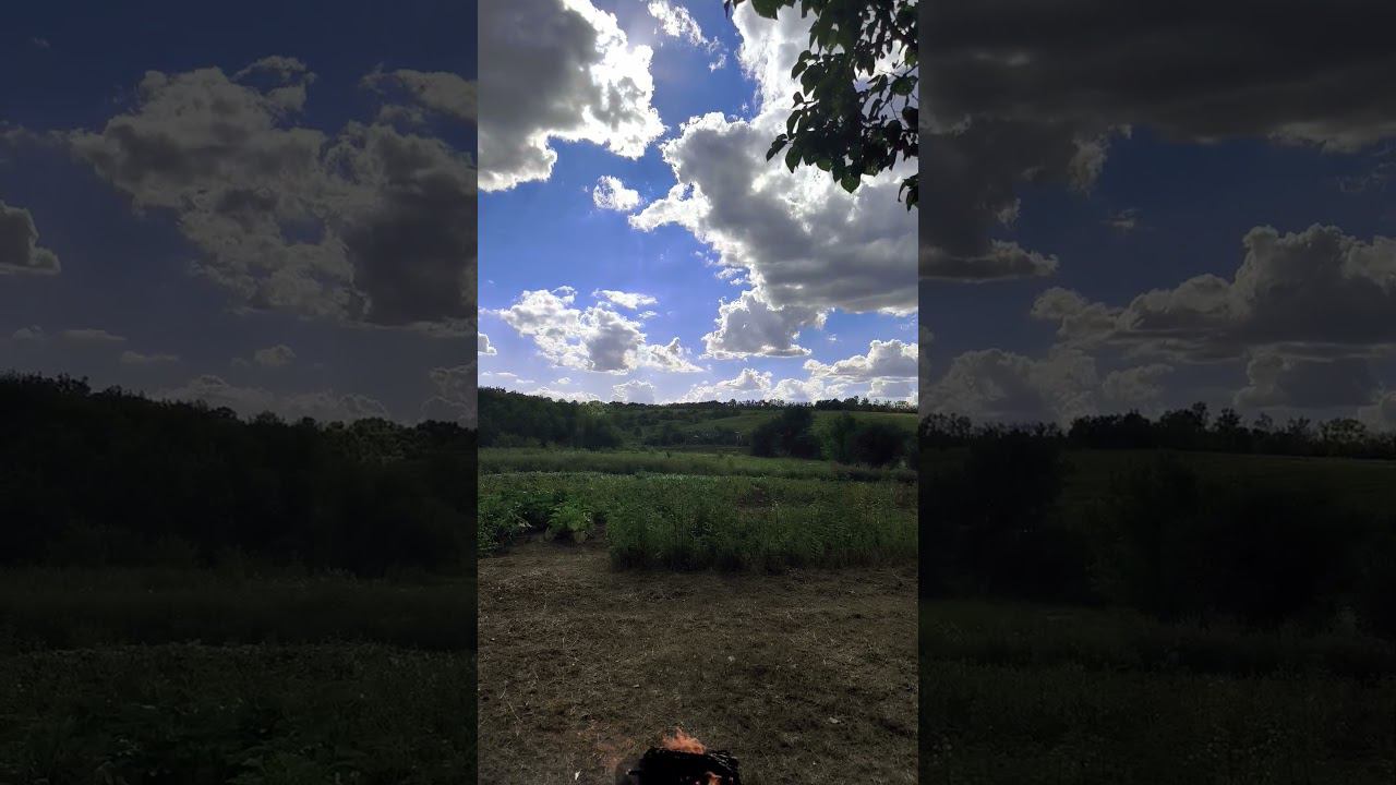 Жизнь это свобода