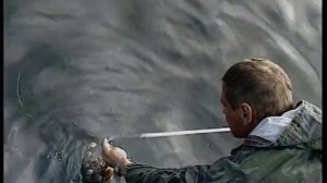 Диалоги о рыбалке -117 - Ловля палтуса на спинниг, Камчатка.