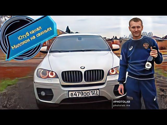 Убираю породу дюрок со своего хозяйства! Свинки породы пьетрен уехали на племя! Переселение свиней смотреть онлайн