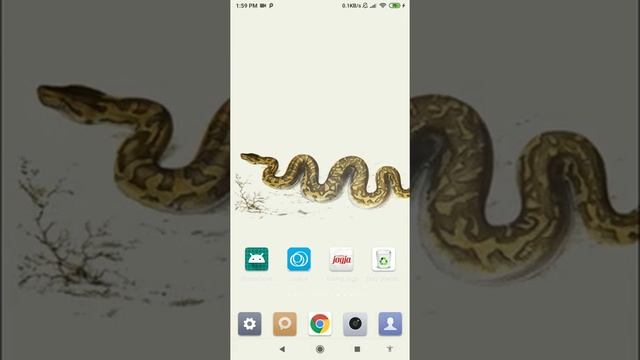 ball python wallpaper смотреть онлайн