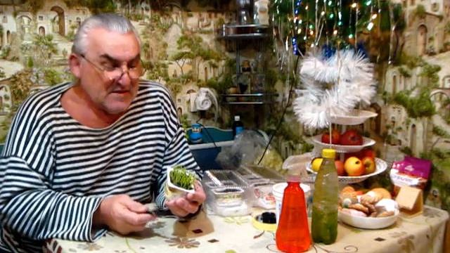 СЕМЕНА ЛУКА ЧЕРНУШКА как проросли за эти дни смотреть онлайн