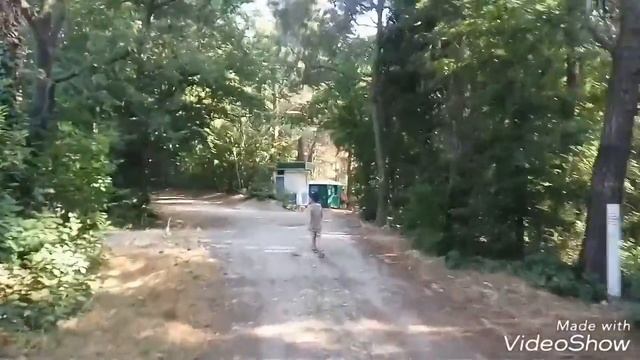 Сосновая роща. Кемпинг. Дивноморское. смотреть онлайн