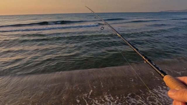 САРГАН для ТЁЩИ