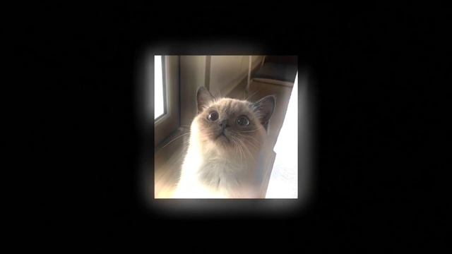 вяжу всякие штуки из Pinterest смотреть онлайн