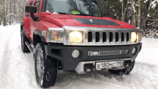 Красный Хомяк в зимнем лесу смотреть онлайн