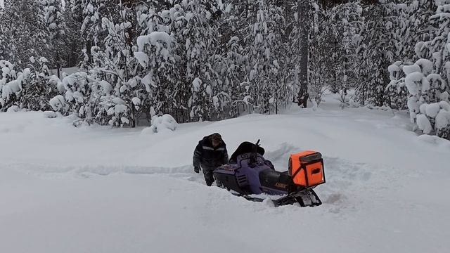 Незабываемое удовольствие на снегоходе!!! смотреть онлайн