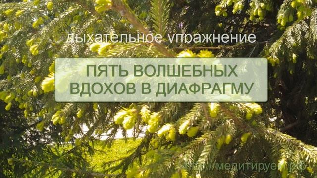 Упражнение "Пять волшебных вдохов" смотреть онлайн