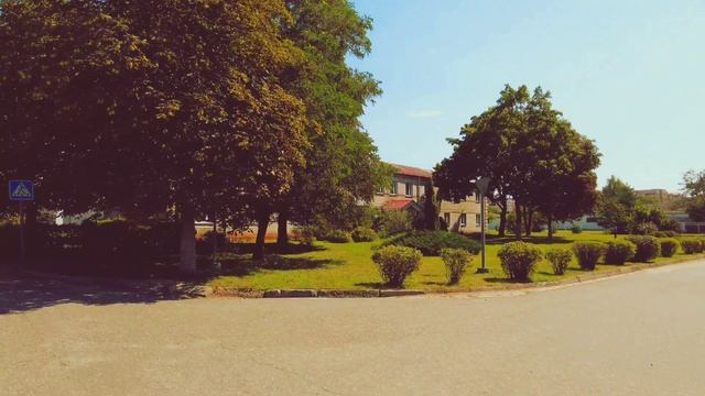 Гомель-Брилёво-Гомель.mp4