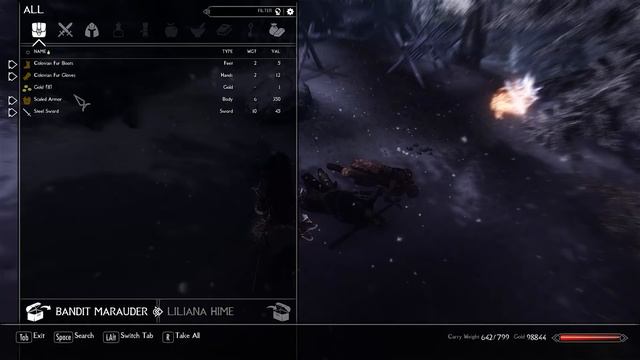 Skyrim: Beyond Skyrim - Bruma смотреть онлайн