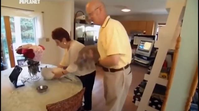 Скукум 101kote.ru Skookum 101cats