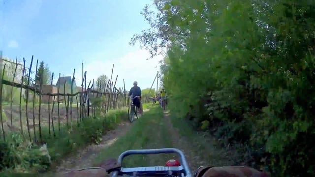 Одуванчики 2015, zadocam смотреть онлайн