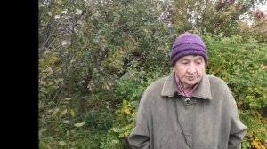 ЧЕМ ОПАСЕН БАРБАРИС?