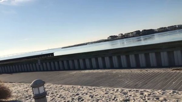 Evgeny Evans / Женя Эванс - какое будущее ждёт в Америке? Обзор на видео "Я скрывала это".