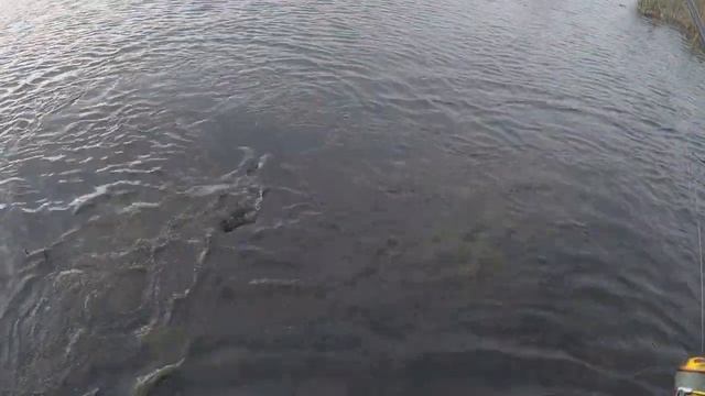 ЛОВЛЯ ЩУКИ НА КРУЖКИ И НА СПИННИНГ В НОЯБРЕ 2020. смотреть онлайн