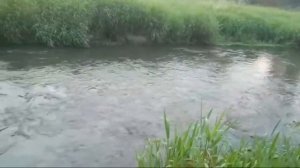 ОТКРЫТИЕ ДОРОГ С ПОМОЩЬЮ РЕКИ. ДЛЯ ВСЕХ. ВЕДЬМИНА ИЗБА ▶️ ИНГА ХОСРОЕВА.