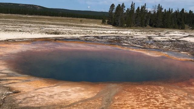Yellowstone National Park " The Great White Buffalo " смотреть онлайн