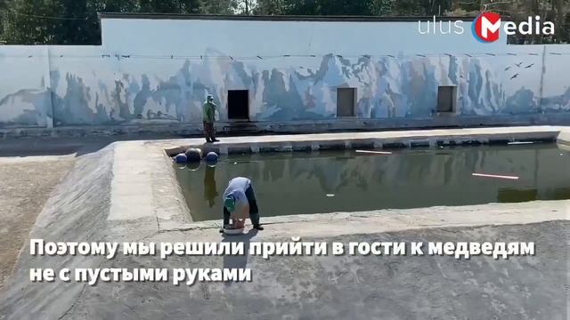 Как спасаются от жары животные в зоопарке? смотреть онлайн