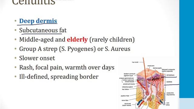 Dermatology - 1. General Topics - 7.Skin Infections Atf