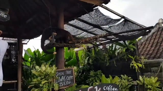 Пура Танах Лот — действующий индуистский храм. смотреть онлайн