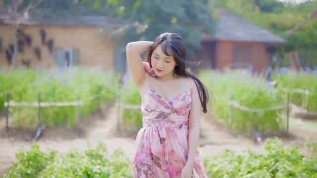 Can't Help Falling In Love Saxophone Mp3 Download 🎷Swing saxophone music 383 смотреть онлайн