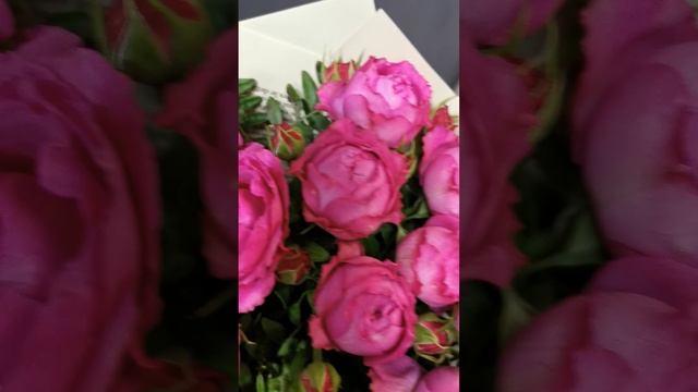 Букет из пионовидных роз (7 шт). Букет №28. #доставкацветов #розы #bouquet #roses #цветымосква смотреть онлайн