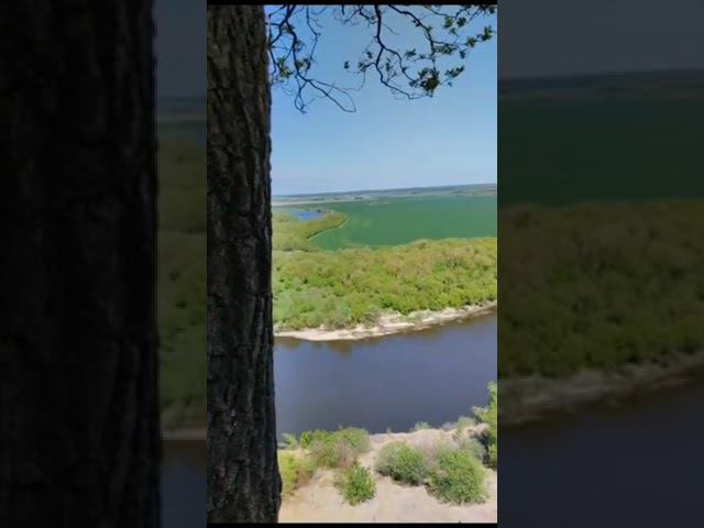 Кривоборье смотреть онлайн