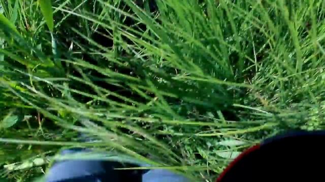 Болото Уничі і загадкова машина