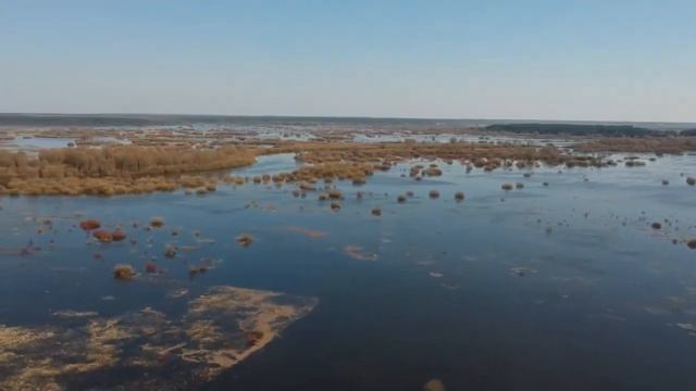 Разлив р. Сож в районе д. Шерстин Ветковского района Гомельской области смотреть онлайн