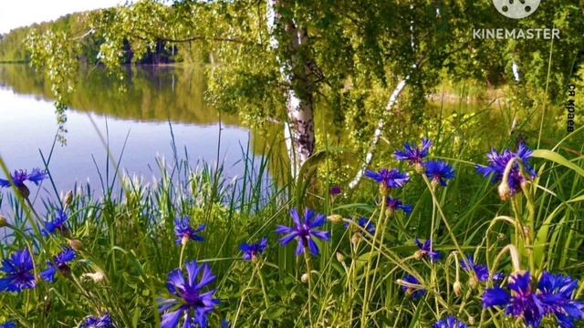 Васильки | Хроматическая калимба | Chromatic Kalimba Cover