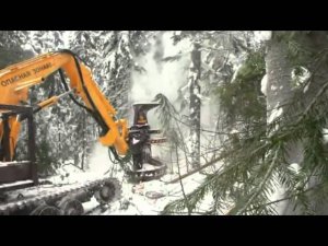 Новейшая лесозаготовительная техника ЧЕТРА ФОРЕСТ