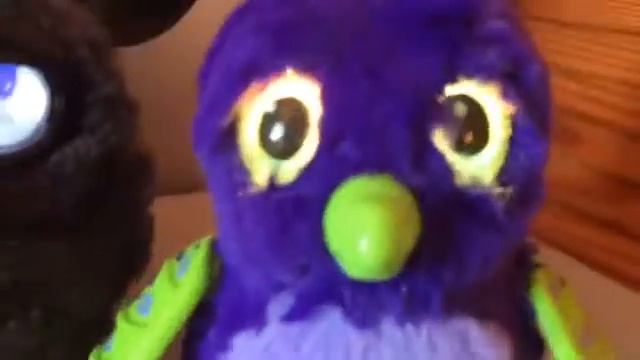 Furby 2012 vs Hatchimal смотреть онлайн