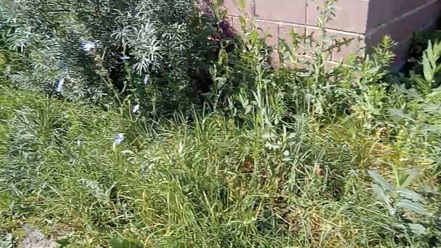 беречь природу правильно. вот наглядный пример как это выглядит смотреть онлайн