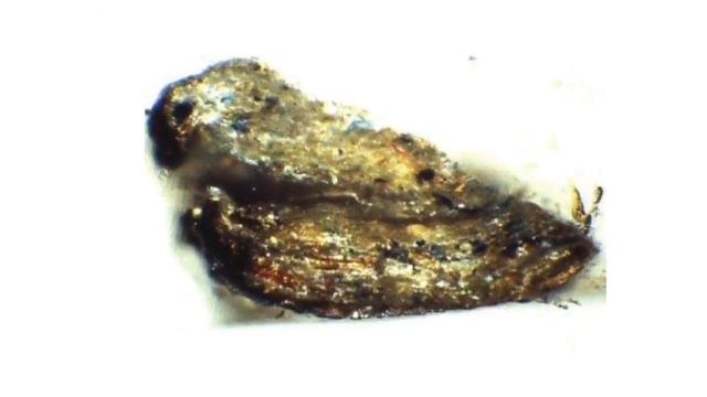 2 Стилистический Анализ Произведений Старых Мастеров. Олег Насобин. смотреть онлайн