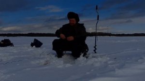 окунь на ведьму.