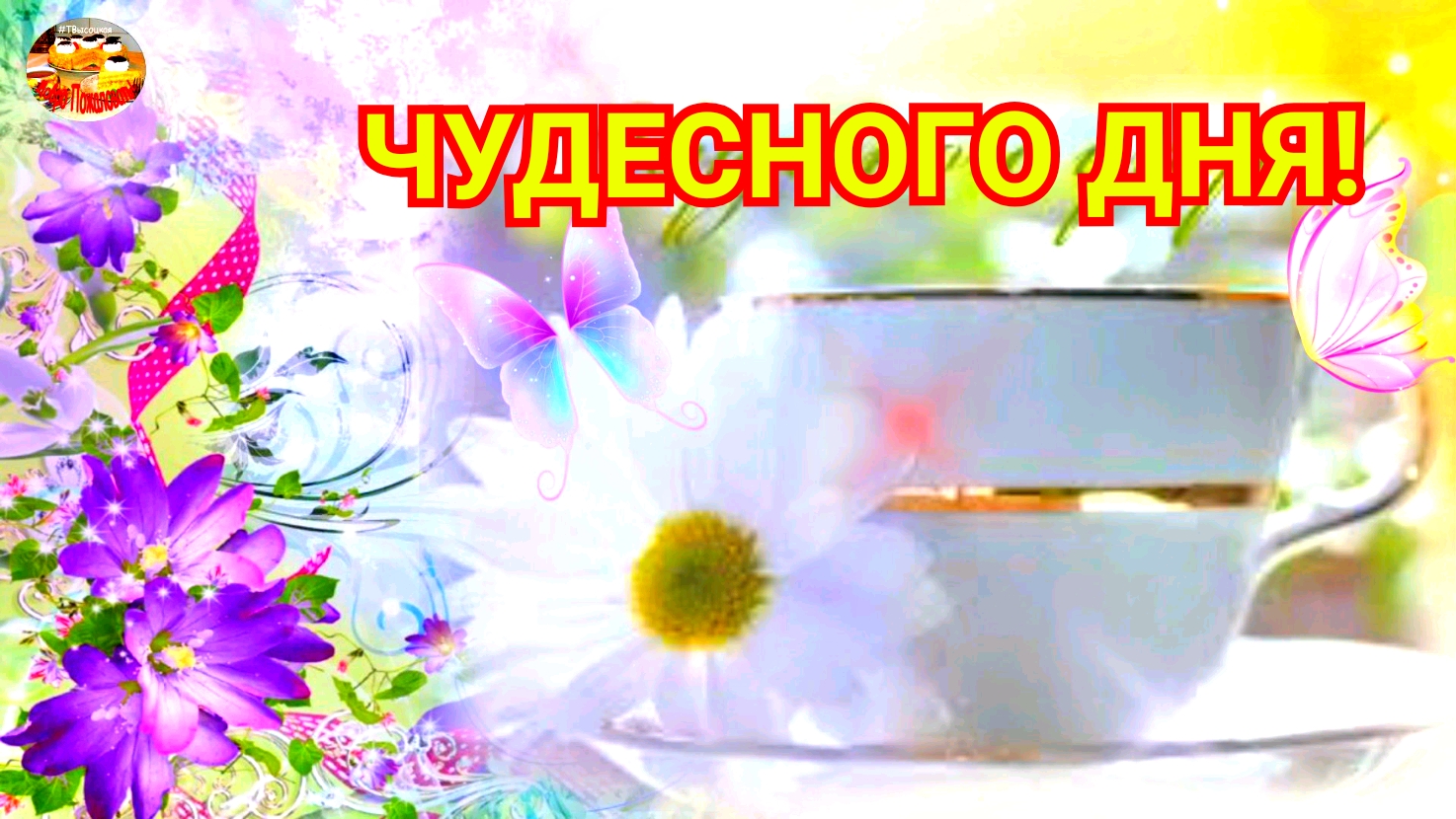 Чудесного дня! Пожелания на весь день. Музыкальная открытка. смотреть онлайн