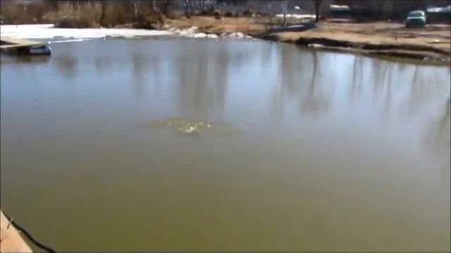 платная рыбалка в ПИРОГОВО - Коргашино смотреть онлайн