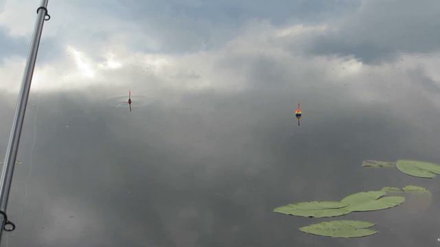 На рыбалке. Испытание самодельного поплавка смотреть онлайн