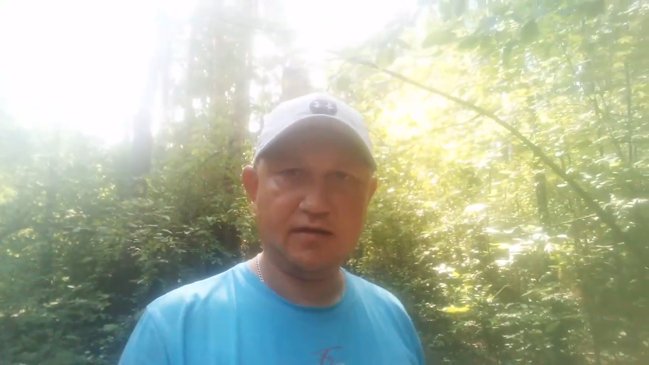 ЗА ГРИБАМИ 2 смотреть онлайн