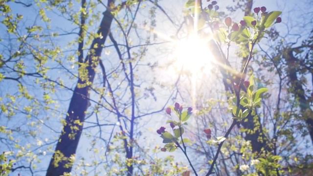 Top 5 Sunscreens for Dry Skin - Ultimate Hydration Guide! смотреть онлайн